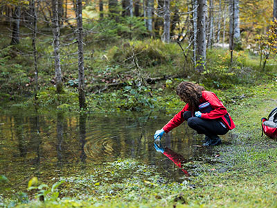 Explore the Bachelor of Arts in Environmental Studies Program